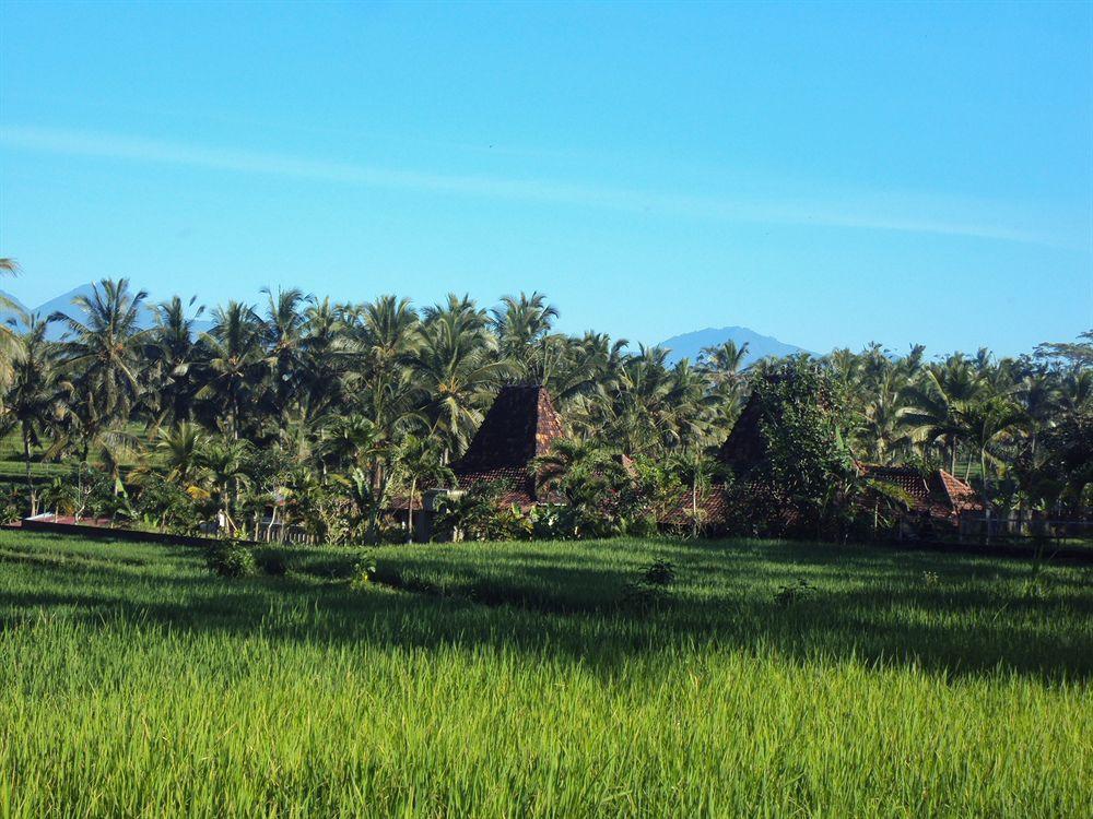 Ubud Syailendra Villas Buitenkant foto