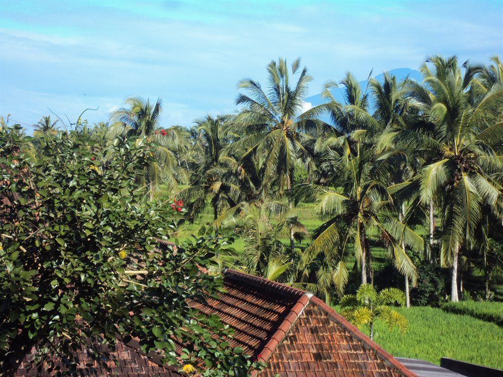 Ubud Syailendra Villas Buitenkant foto