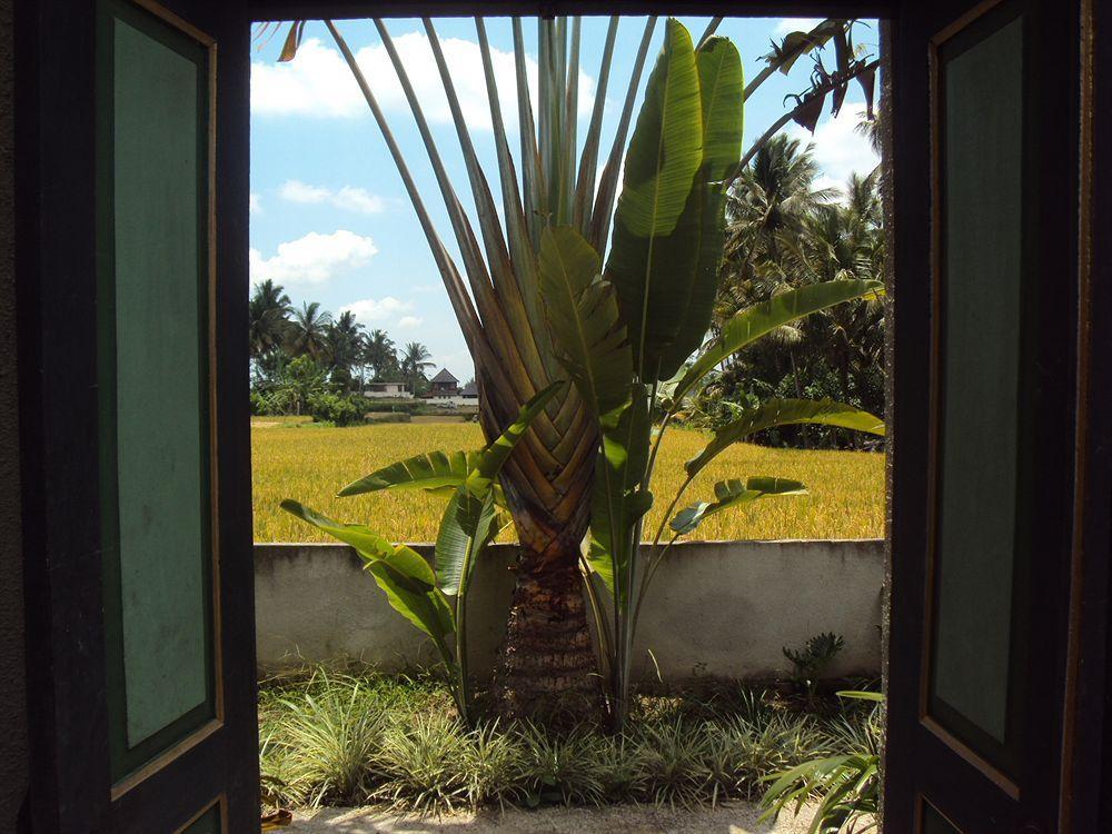 Ubud Syailendra Villas Buitenkant foto