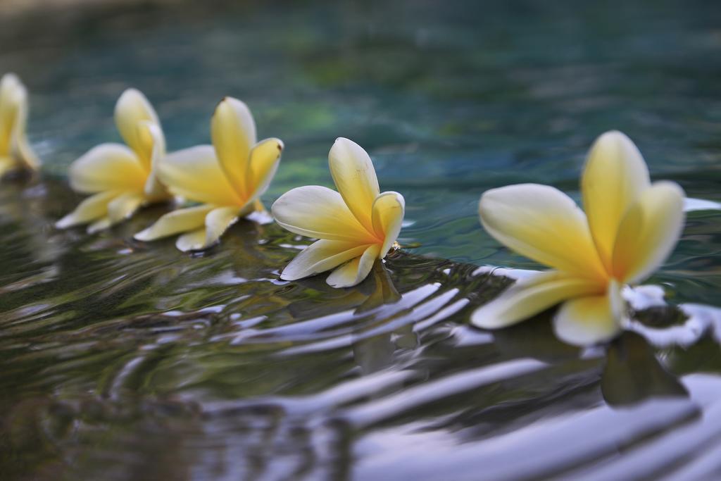 Ubud Syailendra Villas Buitenkant foto