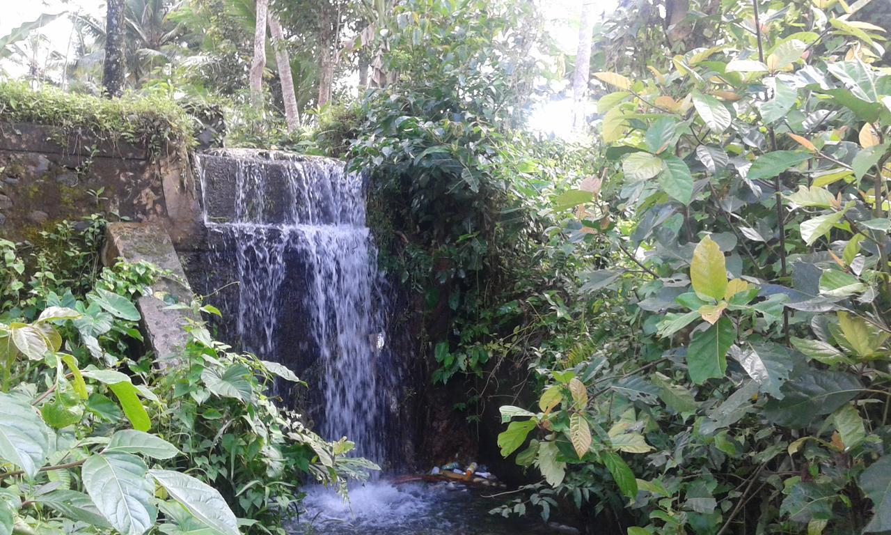 Ubud Syailendra Villas Buitenkant foto
