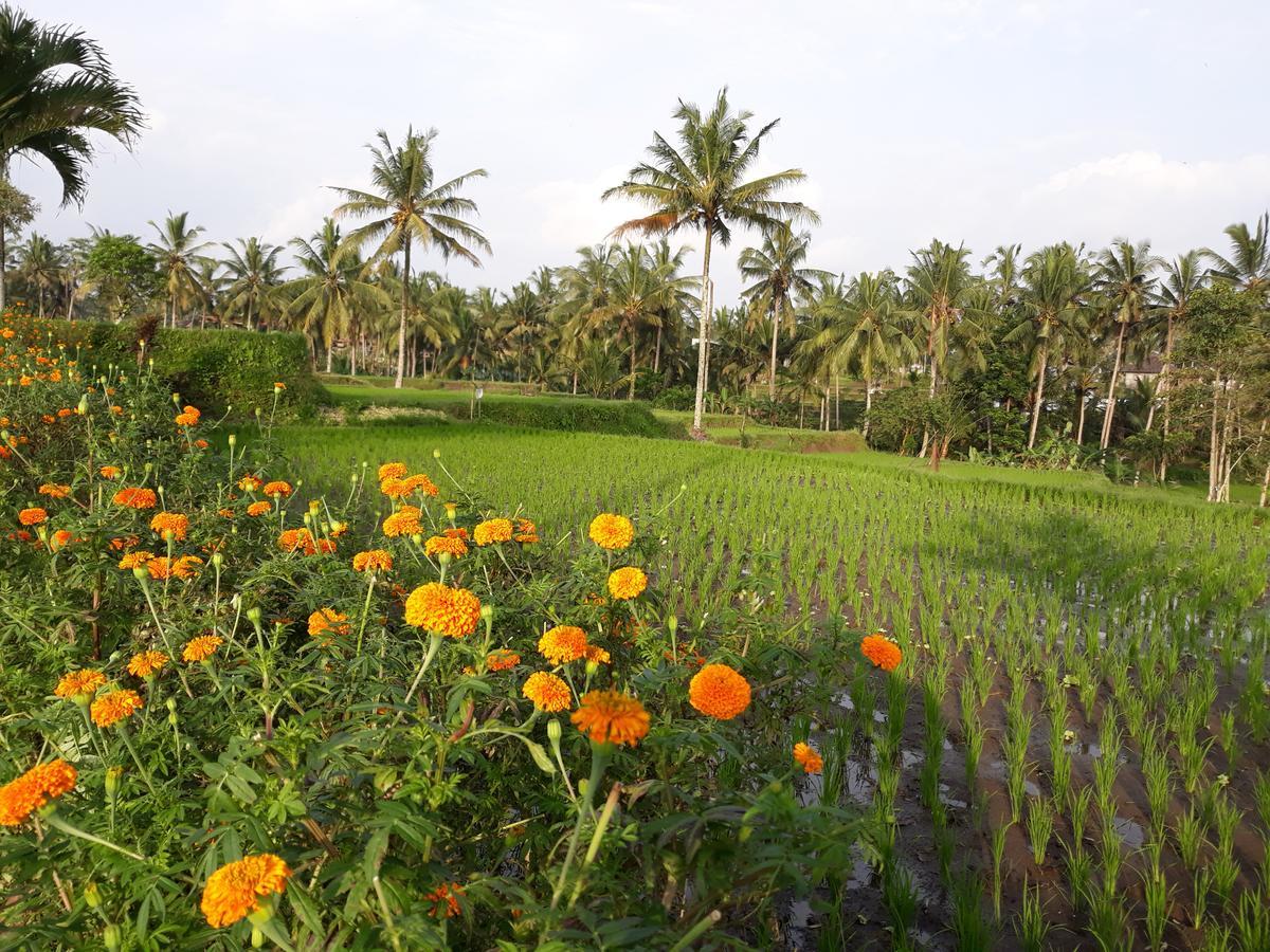 Ubud Syailendra Villas Buitenkant foto
