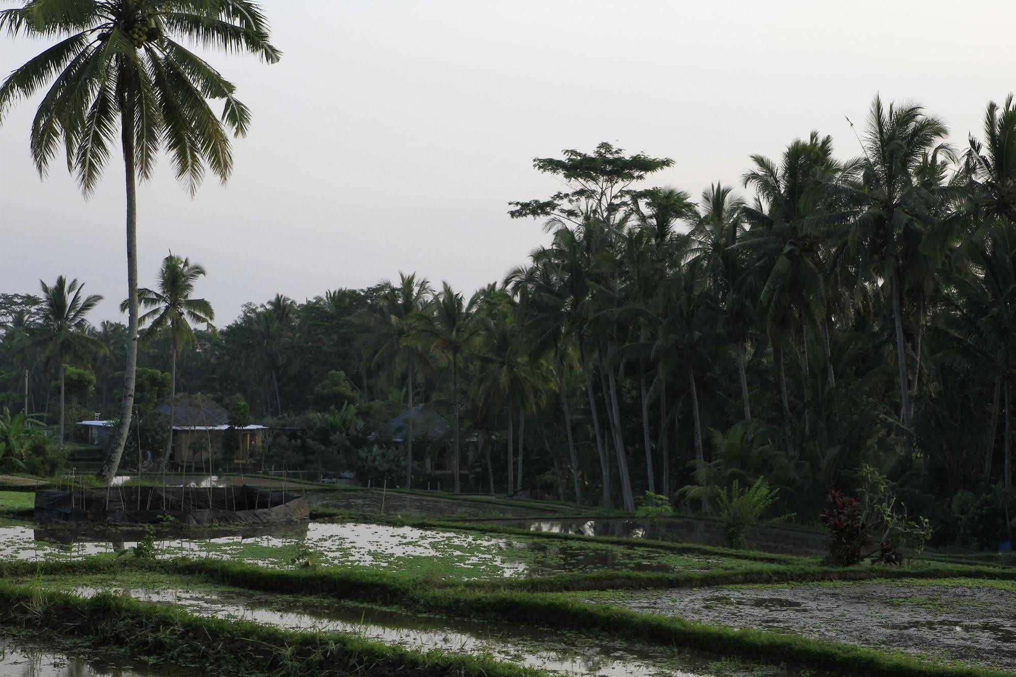 Ubud Syailendra Villas Buitenkant foto