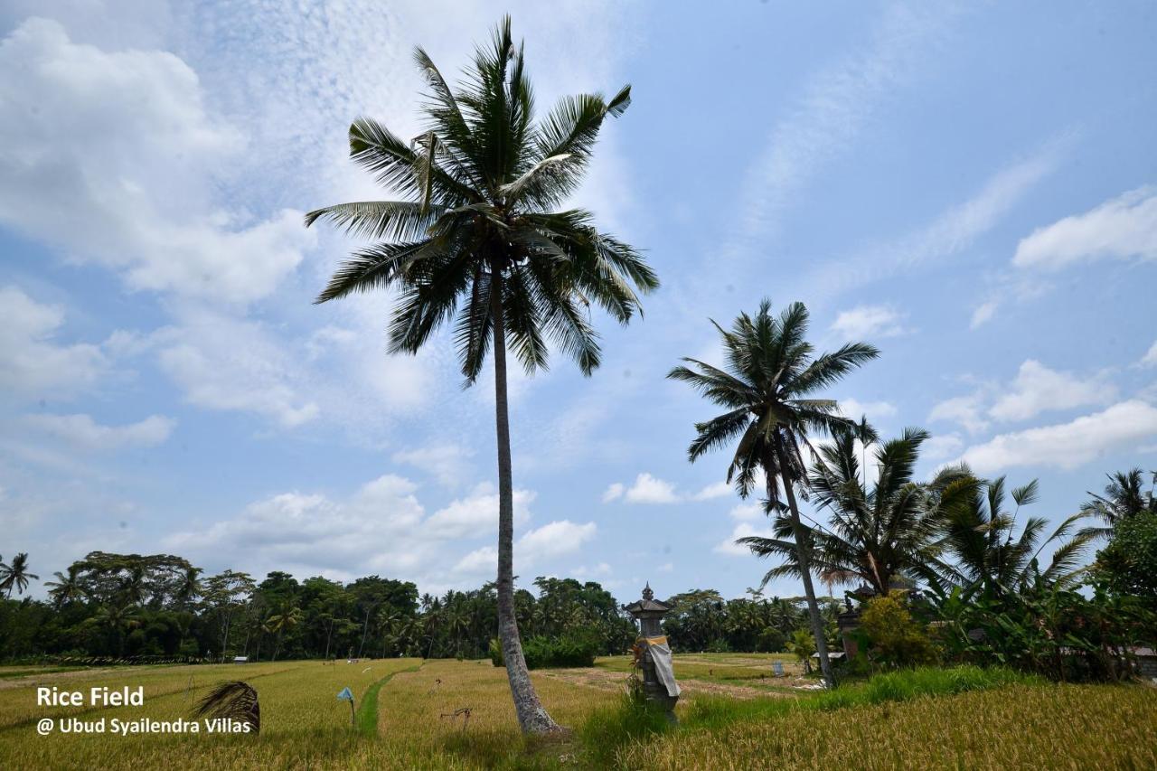 Ubud Syailendra Villas Buitenkant foto